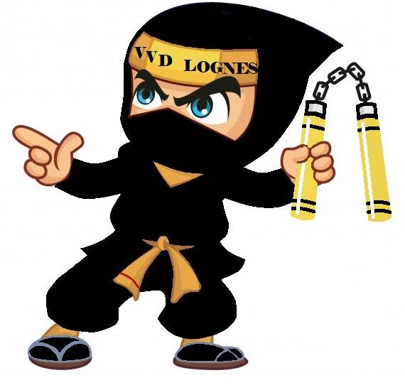 Viet vo dao nunchaku jaune ninja